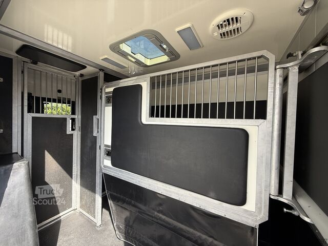 Paarden transport Renault Master | HORSETRUCK | STX | STALLION 5XL | 2018...