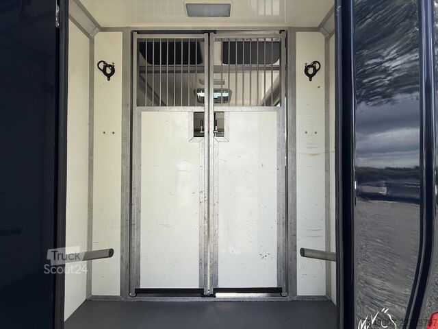 Paarden transport Renault Master | HORSETRUCK | STX | STALLION 5XL | 2018...