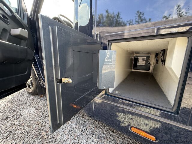 Paarden transport Renault Master | HORSETRUCK | STX | STALLION 5XL | 2018...