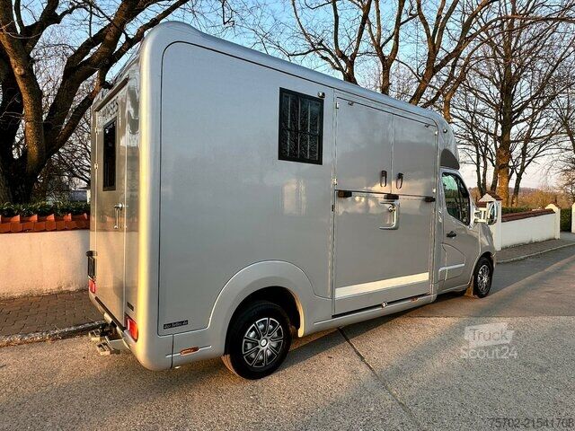 Furgons Renault Master STX Haras 1-2 Pferde Automatik