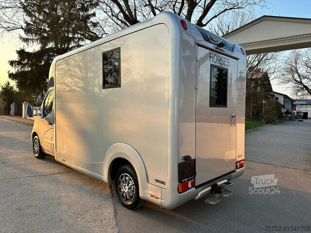 Furgons Renault Master STX Haras 1-2 Pferde Automatik
