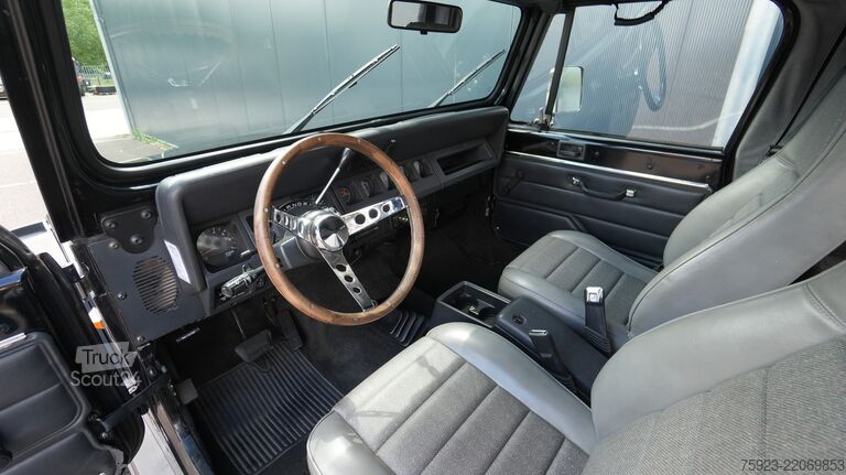 Osobní doprava Jeep WRANGLER YJ 4.0i SOFTTOP 4x4 1993