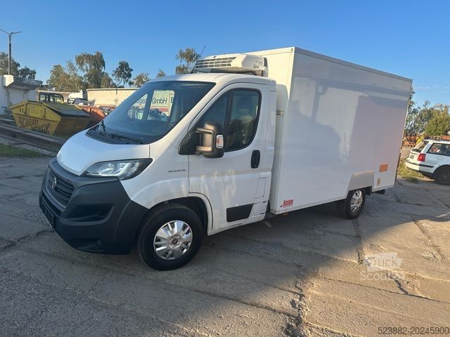 Kühltransporter FIAT Ducato Schaden*Thermoking V300Max*Tiefkühl*Rampe