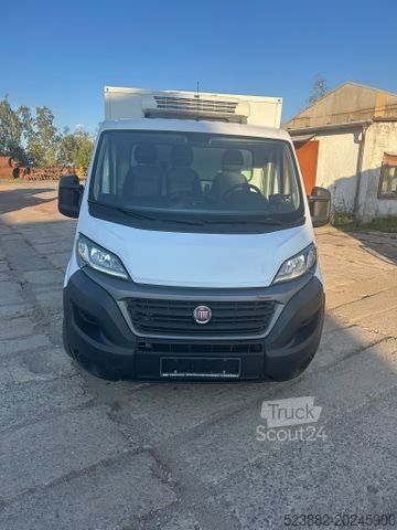 Jääkaappikorinen pakettiauto FIAT Ducato Schaden*Thermoking V300Max*Tiefkühl*Rampe