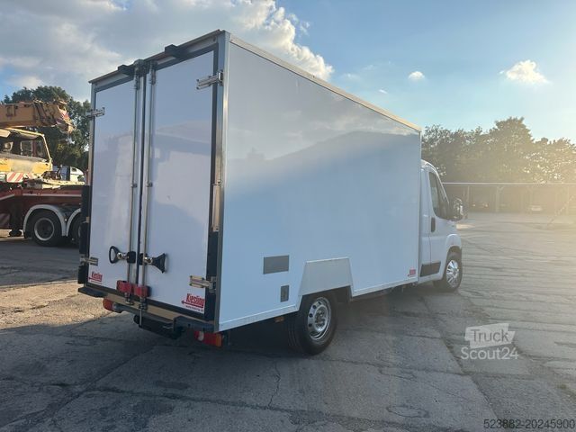 Jääkaappikorinen pakettiauto FIAT Ducato Schaden*Thermoking V300Max*Tiefkühl*Rampe
