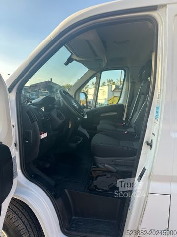 Jääkaappikorinen pakettiauto FIAT Ducato Schaden*Thermoking V300Max*Tiefkühl*Rampe
