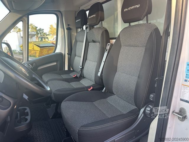 Jääkaappikorinen pakettiauto FIAT Ducato Schaden*Thermoking V300Max*Tiefkühl*Rampe
