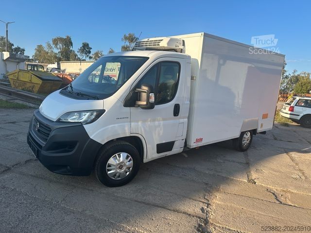 Kühltransporter FIAT Ducato Schaden*Thermoking V300Max*Tiefkühl*Rampe