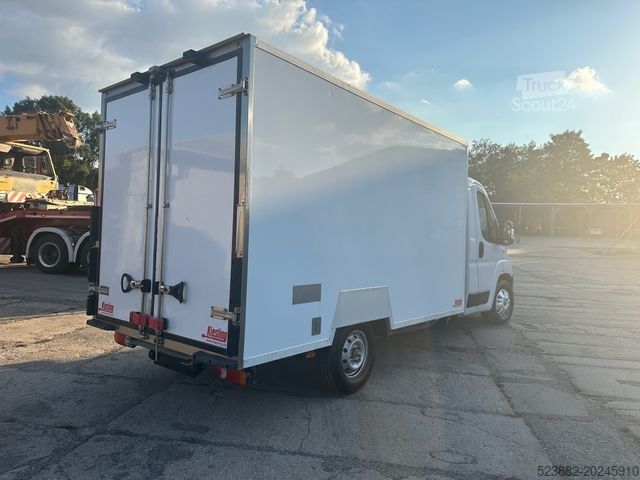 Jääkaappikorinen pakettiauto FIAT Ducato Schaden*Thermoking V300Max*Tiefkühl*Rampe