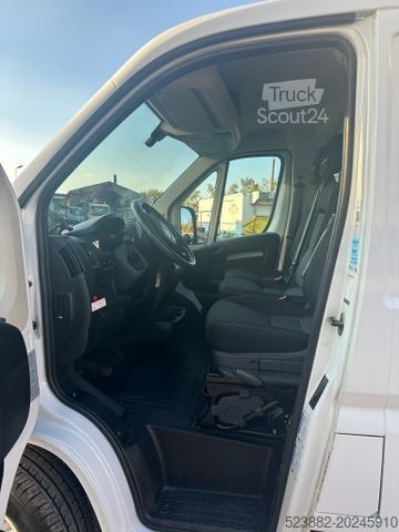 Jääkaappikorinen pakettiauto FIAT Ducato Schaden*Thermoking V300Max*Tiefkühl*Rampe