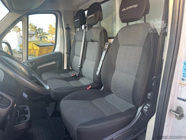 Jääkaappikorinen pakettiauto FIAT Ducato Schaden*Thermoking V300Max*Tiefkühl*Rampe