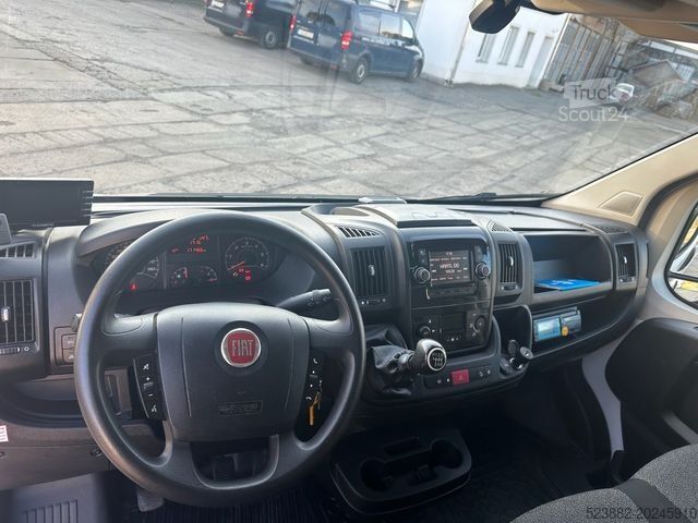 Jääkaappikorinen pakettiauto FIAT Ducato Schaden*Thermoking V300Max*Tiefkühl*Rampe