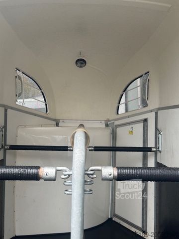 Remorcă pentru transport cai BÖCKMANN Duo 2 Pferdeanhänger 2t. Holz/Poly MSS-System