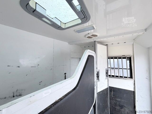 Remorque de transport de chevaux  STX 3,5T  2 Pferd   Pferdeanh. Wohn. Dusche, WC