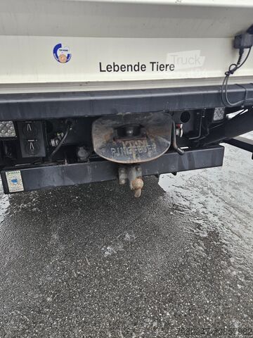 Camion pour bétail MAN TGL 12.250