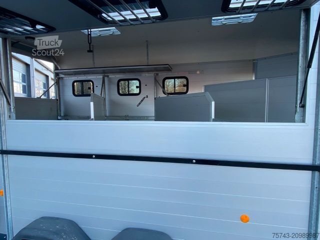 Horse transport trailer BÖCKMANN Traveller G 3  sofort verfügbar.