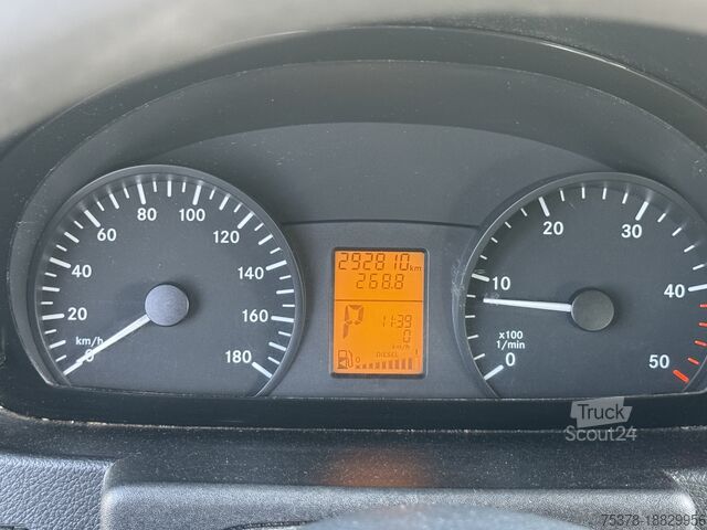 Minibus Mercedes-Benz Sprinter 313 CDI Aut 9Sitze od. 6Rollis