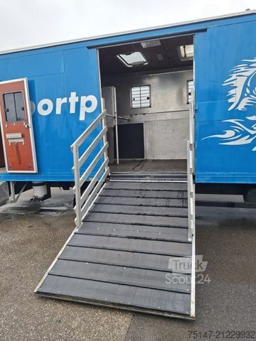 Gyvulių vežėjas MERCEDES-BENZ 817 L 4 Pferde Laderampe 3-Sitzer AHK