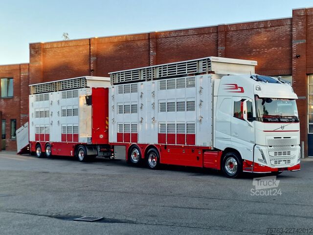 Liellopu pārvadāšana Volvo FH 13.500 XL 6x2 - Pezzaioli livestock 3 deck +...