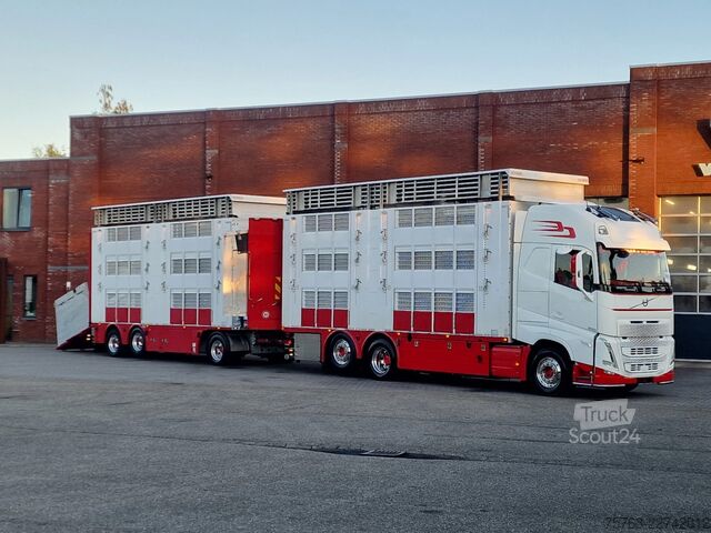 Liellopu pārvadāšana Volvo FH 13.500 XL 6x2 - Pezzaioli livestock 3 deck +...