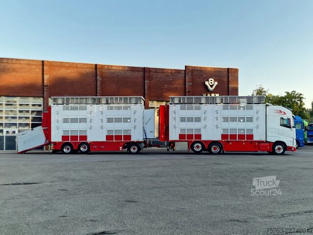 Liellopu pārvadāšana Volvo FH 13.500 XL 6x2 - Pezzaioli livestock 3 deck +...