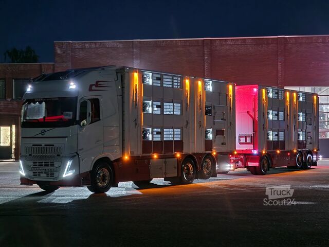 Liellopu pārvadāšana Volvo FH 13.500 XL 6x2 - Pezzaioli livestock 3 deck +...