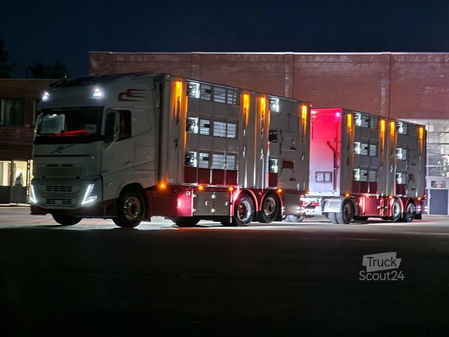 Liellopu pārvadāšana Volvo FH 13.500 XL 6x2 - Pezzaioli livestock 3 deck +...