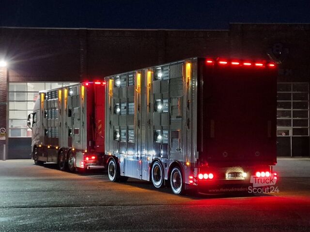 Liellopu pārvadāšana Volvo FH 13.500 XL 6x2 - Pezzaioli livestock 3 deck +...