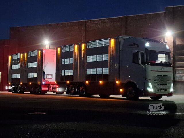 Liellopu pārvadāšana Volvo FH 13.500 XL 6x2 - Pezzaioli livestock 3 deck +...