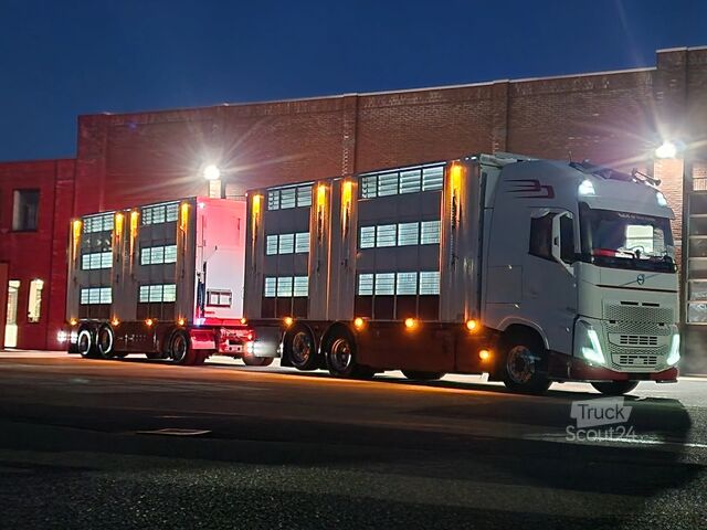 Liellopu pārvadāšana Volvo FH 13.500 XL 6x2 - Pezzaioli livestock 3 deck +...