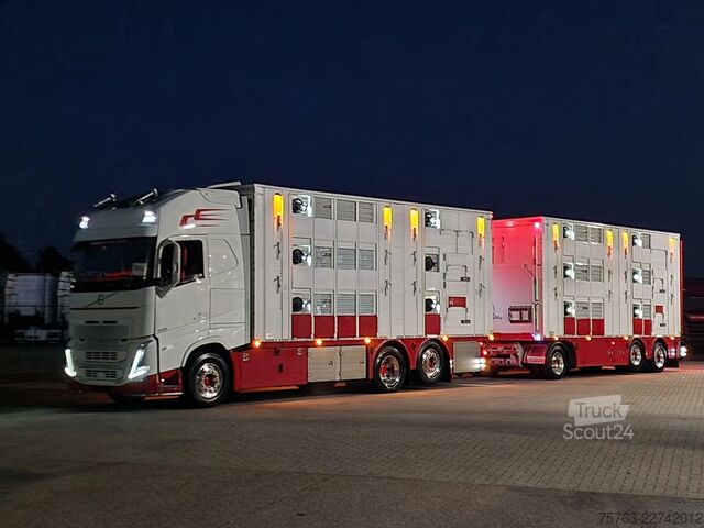 Liellopu pārvadāšana Volvo FH 13.500 XL 6x2 - Pezzaioli livestock 3 deck +...