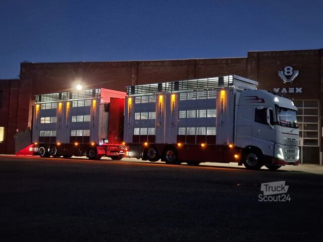 Liellopu pārvadāšana Volvo FH 13.500 XL 6x2 - Pezzaioli livestock 3 deck +...
