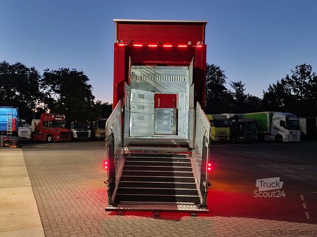 Liellopu pārvadāšana Volvo FH 13.500 XL 6x2 - Pezzaioli livestock 3 deck +...