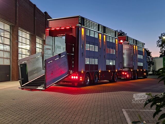 Liellopu pārvadāšana Volvo FH 13.500 XL 6x2 - Pezzaioli livestock 3 deck +...