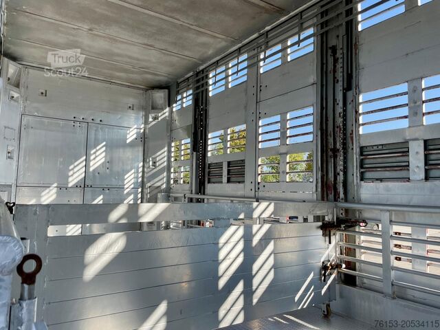 Vieh MICHIELETTO RM 20CPB