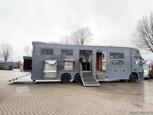 Camião para gado MERCEDES-BENZ Actros 2635 6 Pferde Pop-Out