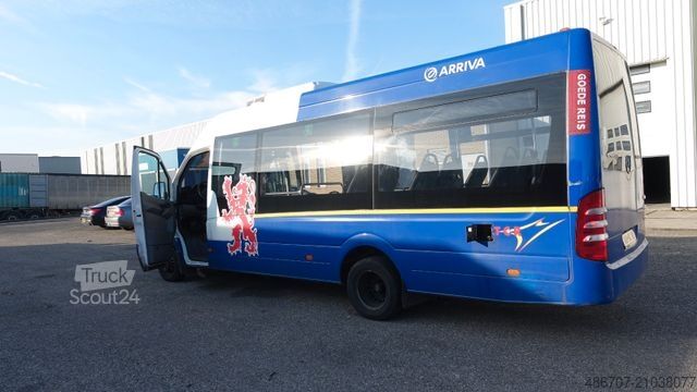 Autobus urbain MERCEDES-BENZ Sprinter City 65 euro 6  18 Sitze 14 Stehplätze