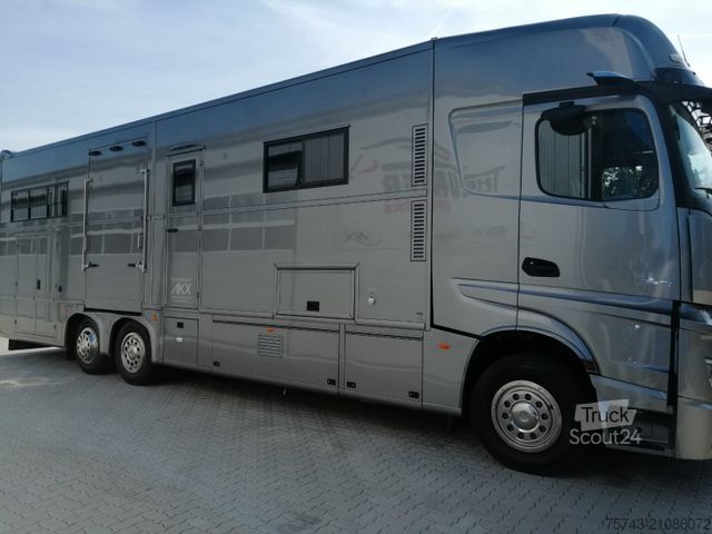 Kreaturvogn MERCEDES-BENZ Actros 2651 AKX  Pop-Out,  6 Pferde