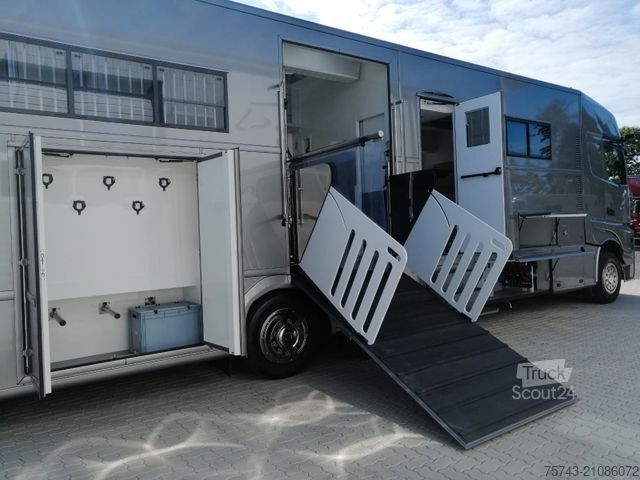 Kreaturvogn MERCEDES-BENZ Actros 2651 AKX  Pop-Out,  6 Pferde