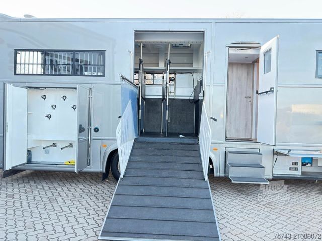 Kreaturvogn MERCEDES-BENZ Actros 2651 AKX  Pop-Out,  6 Pferde