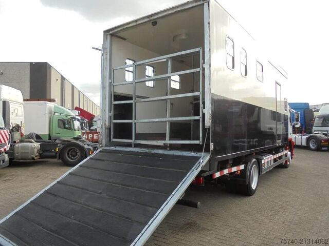 Pferdetransport Volvo FM 9.310 + Euro 5 + Manual + Horse transport