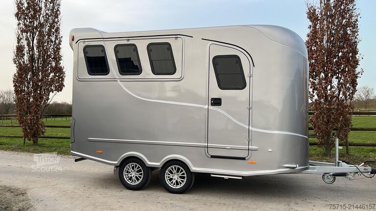 2–3 zirgi Big Space Steinsberger Anka 2-3 Pferde Big Space