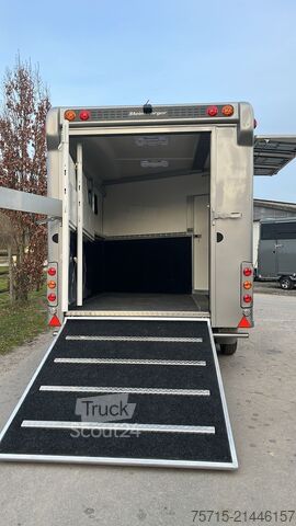 2–3 zirgi Big Space Steinsberger Anka 2-3 Pferde Big Space