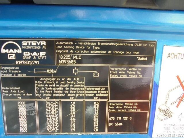 Перевозка лошадей MAN 12 .225 + MANUAL