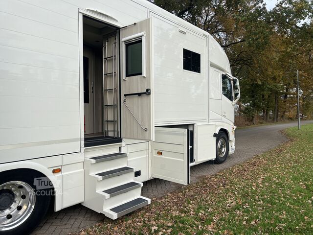 Lószállítás Volvo FH Occasion paardenvrachtwagen Roelofsen specia...