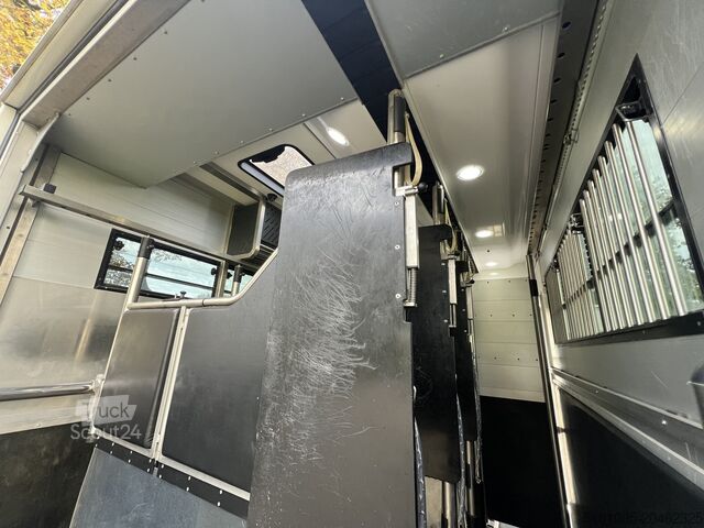 Lószállítás Volvo FH Occasion paardenvrachtwagen Roelofsen specia...