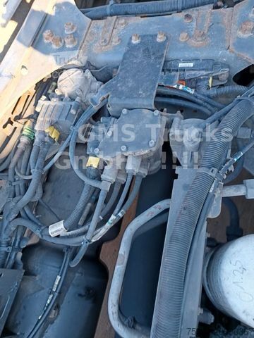 Volymdragbil DAF XF 460 / SSC / Mega / German