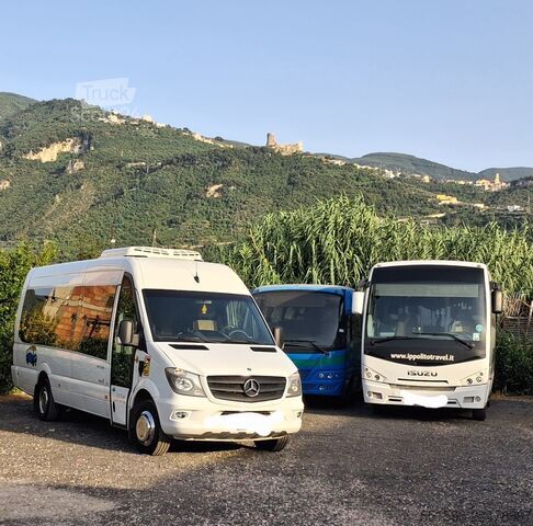 Minibus Mercedex 519 Sitcar