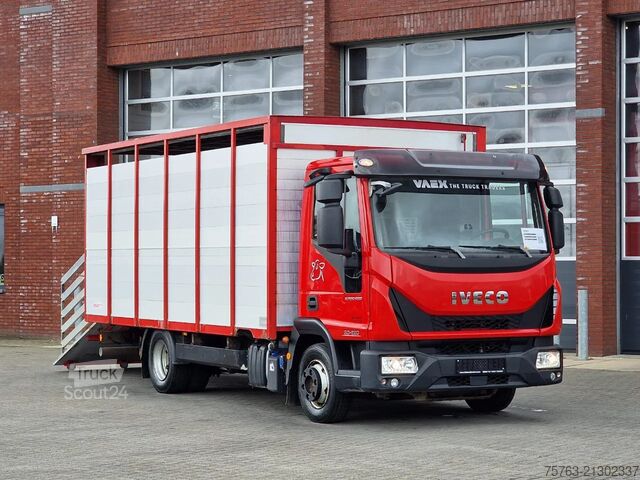 Transport de bétail Iveco Eurocargo 80.220 Livestock 1 deck - Air suspens...
