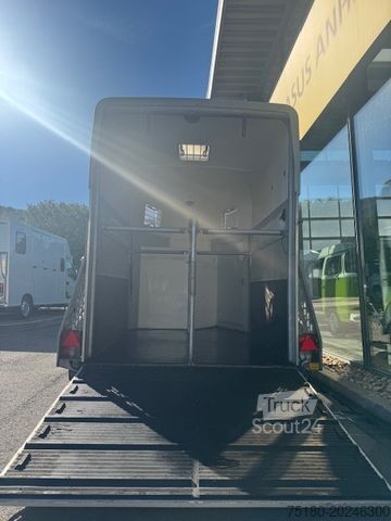 Remolque de transporte de caballos BÖCKMANN Big Champion 2 Pferdeanhänger 2,4tALU DS-Klappe